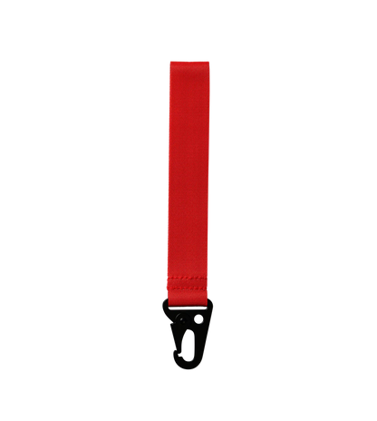 Key clip