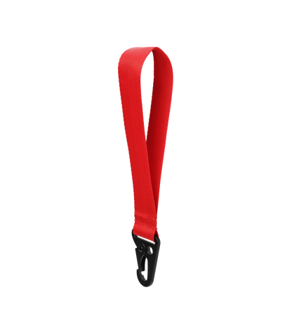 Key clip