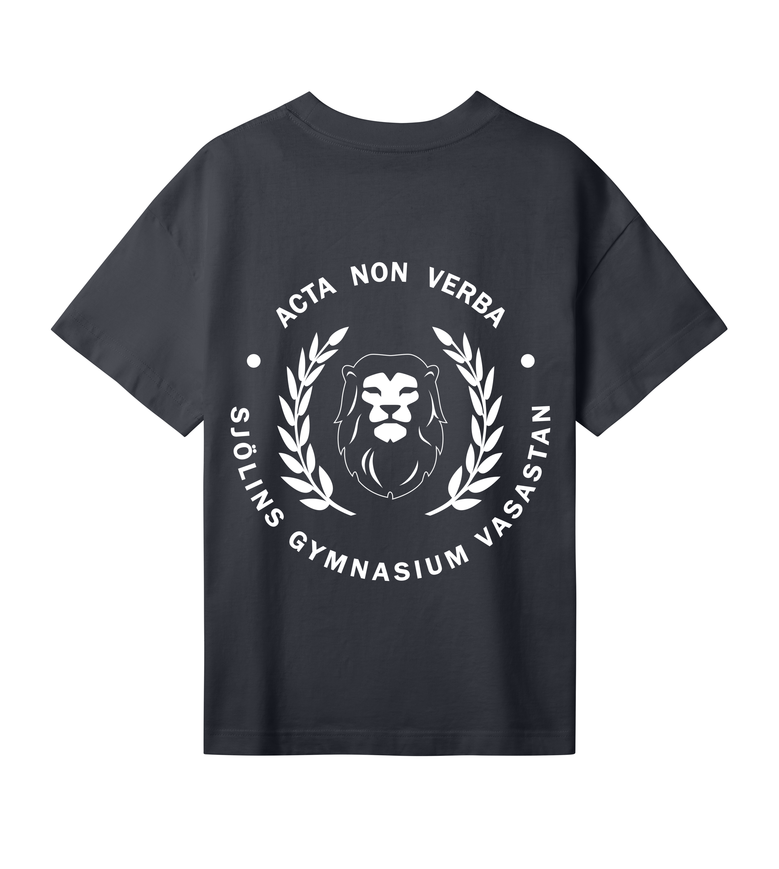 Oversized t-shirt - Dam - Sjölins Vasastan - Tryck bak